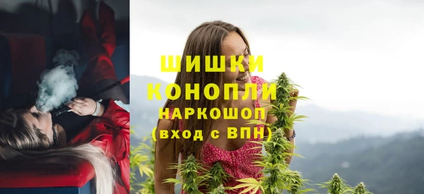 бошки Богородицк