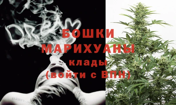 spice Богородск
