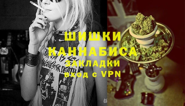 бошки Богородицк