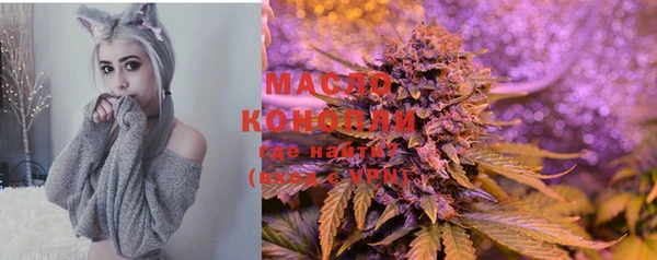 spice Богородск